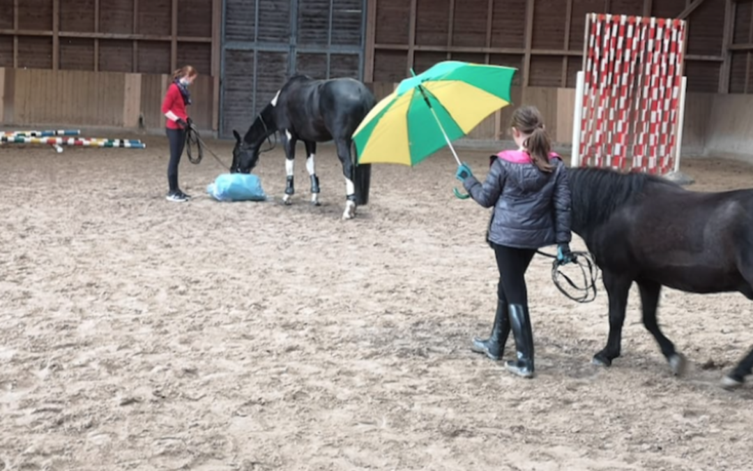 Berichte vom Gelassenheitstraining