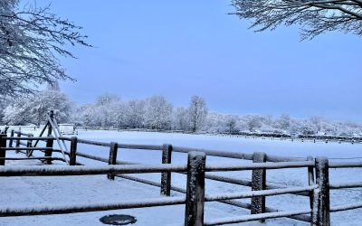 Wintergrüße aus dem neuen Jahr