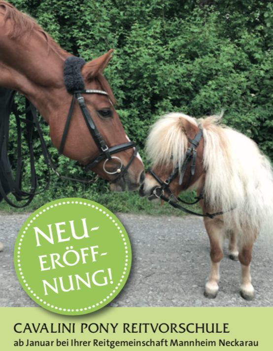 Reitstunde1 Cavalini