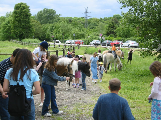 Ponyführen1 Ponyführen1