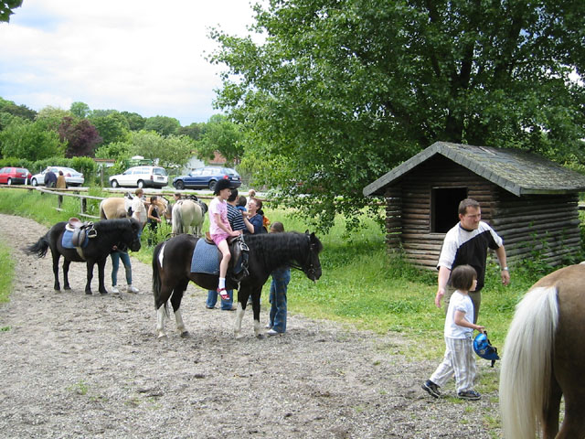 Ponyführen2 Ponyführen2
