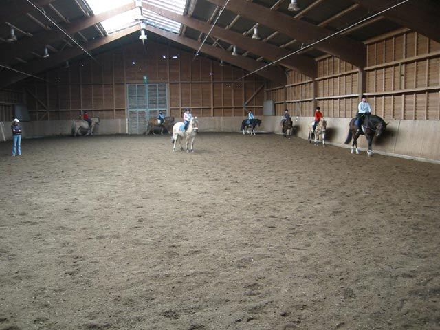 Reitstunde1 Reitstunde1