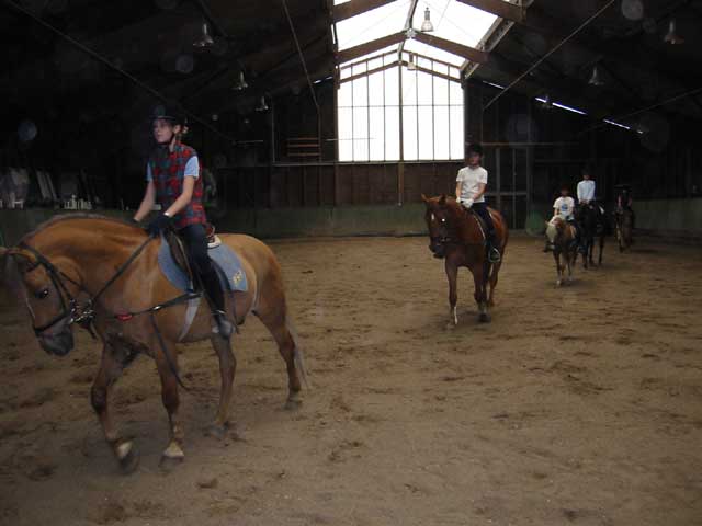 Reitstunde2 Reitstunde2